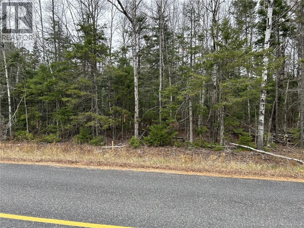 Lot 25-5 Route 855, Norton, New Brunswick  E5T 1Z8 - Photo 4 - NB144823