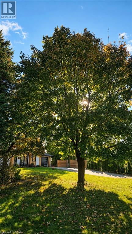 50 Oak Avenue, Dundas, Ontario  L9H 4Y9 - Photo 33 - 40847167