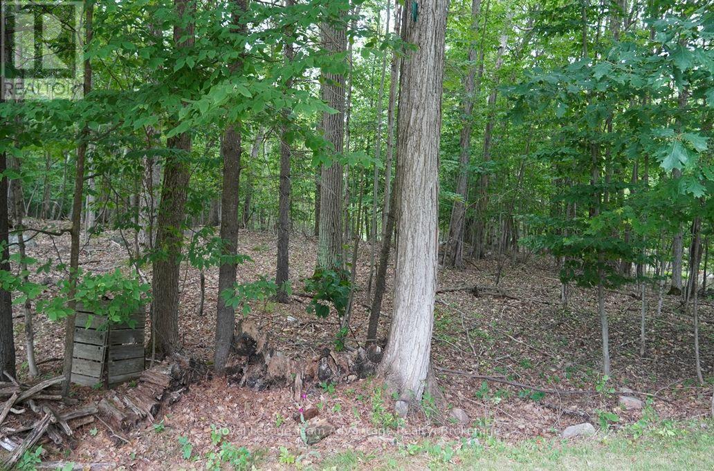 101 & 99 Carling Bay Road E, Carling, Ontario  P0G 1G0 - Photo 29 - X13588268