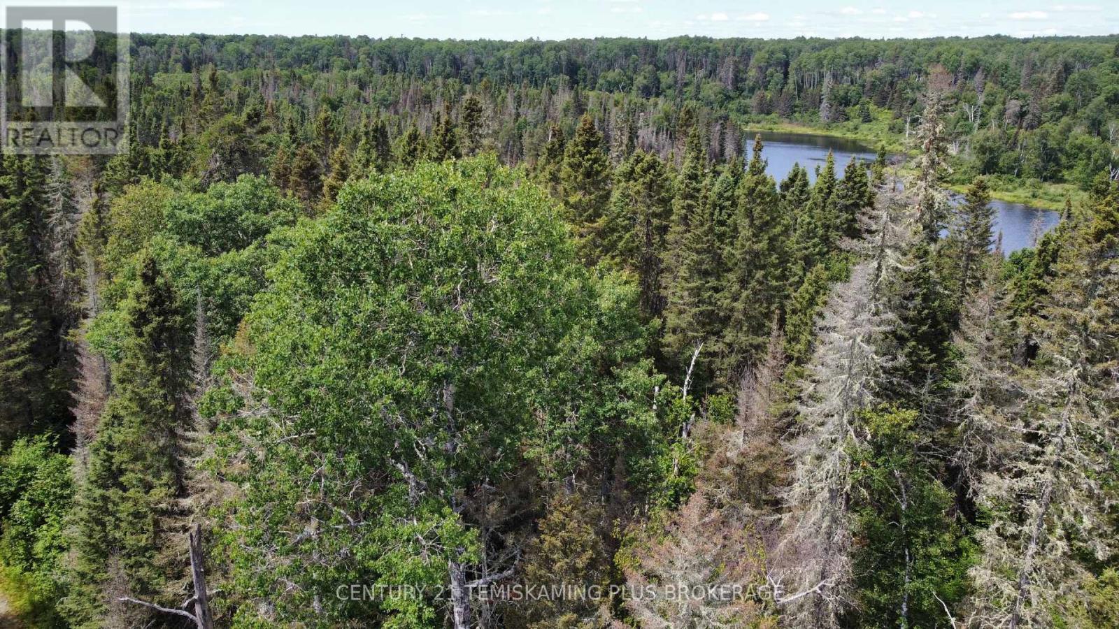 Pcl 9565 Binney Lake, Kirkland Lake, Ontario P0K 1L0 - Photo 10 - T13631902