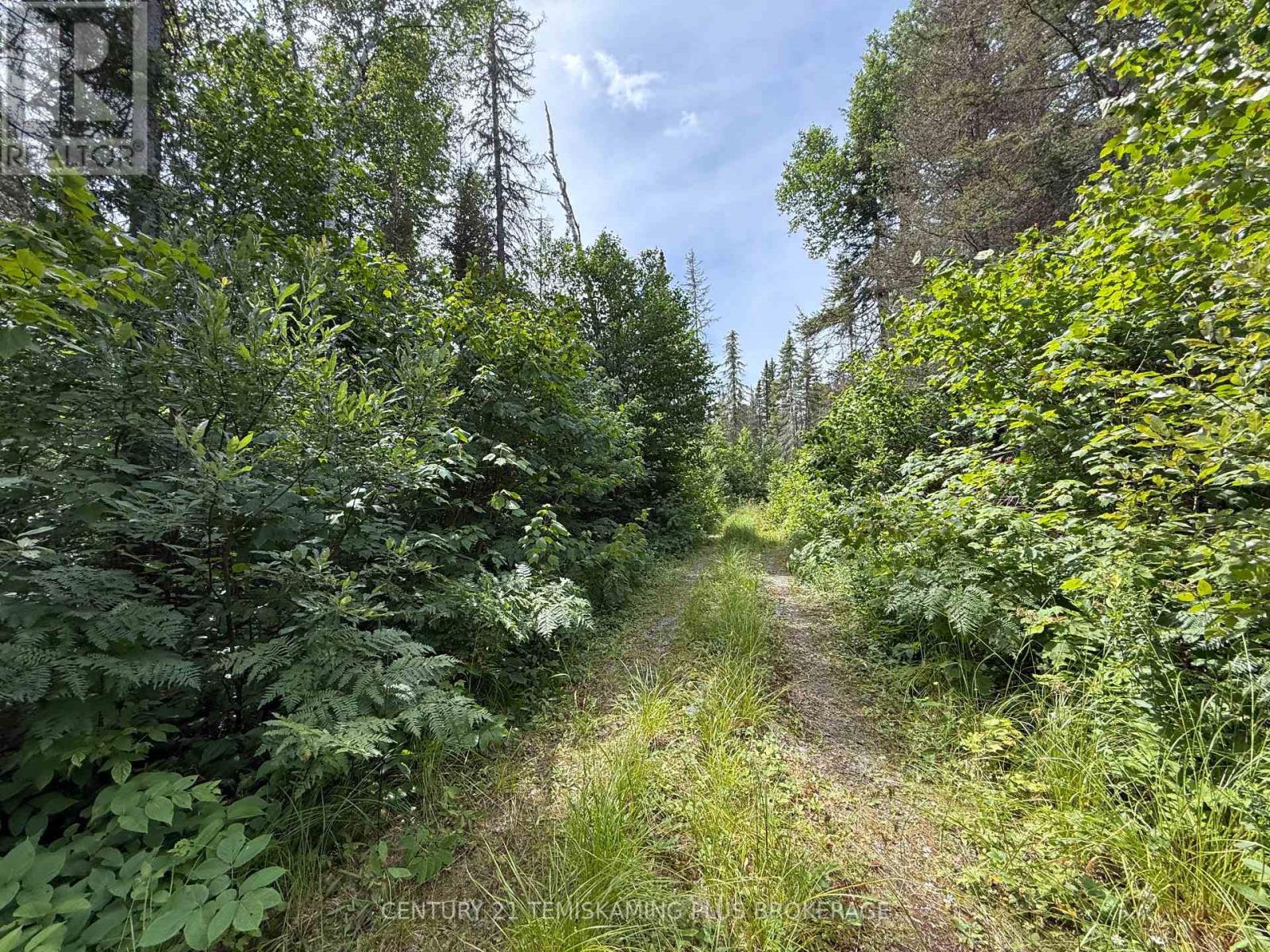 Pcl 9565 Binney Lake, Kirkland Lake, Ontario P0K 1L0 - Photo 16 - T13631902