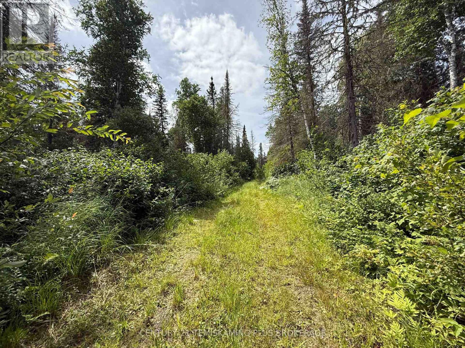 Pcl 9565 Binney Lake, Kirkland Lake, Ontario P0K 1L0 - Photo 17 - T13631902