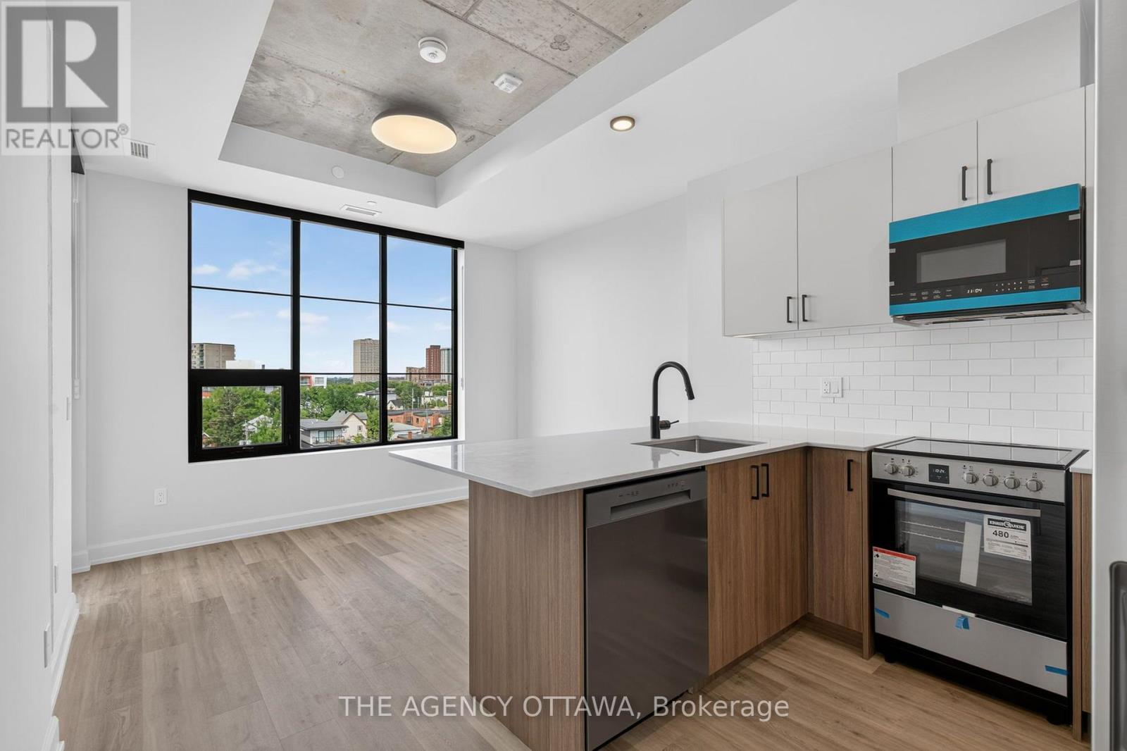 603 - 56 Bayswater Avenue, Ottawa, Ontario K1Y 2E9 - Photo 9 - X13631952