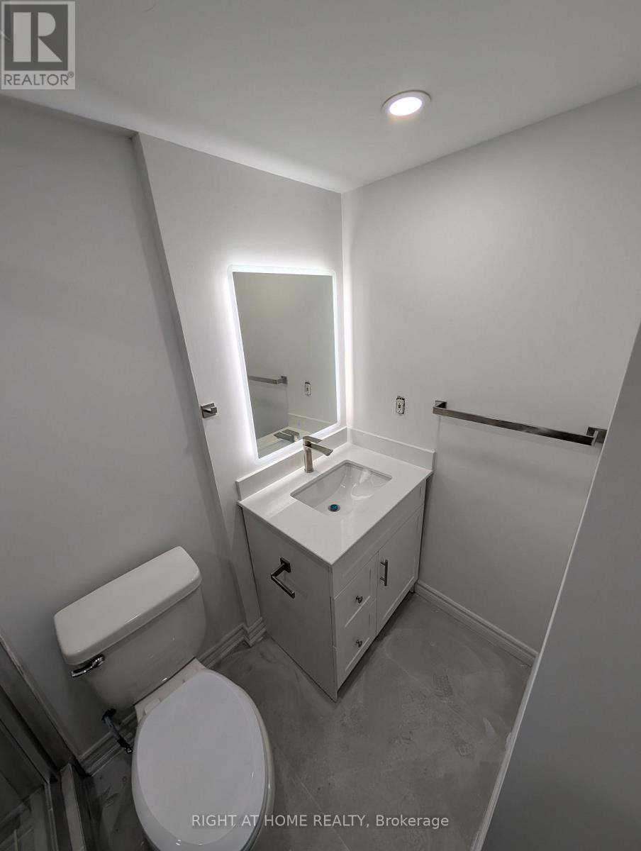 - Lower - 59 Chandler Drive, Toronto, Ontario  M1G 1Z1 - Photo 8 - E13631960