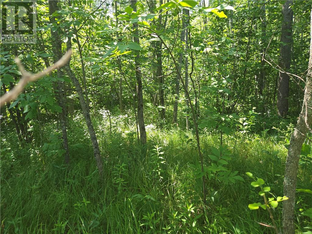 N/a 4th Line, Gore Bay, Ontario P0P 1H0 - Photo 10 - 2129486