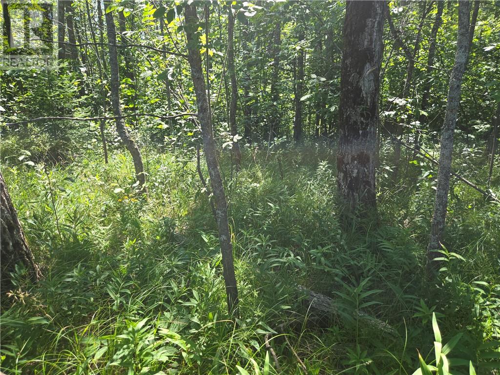 N/a 4th Line, Gore Bay, Ontario P0P 1H0 - Photo 2 - 2129486