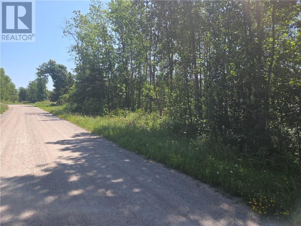 N/a 4th Line, Gore Bay, Ontario P0P 1H0 - Photo 8 - 2129486