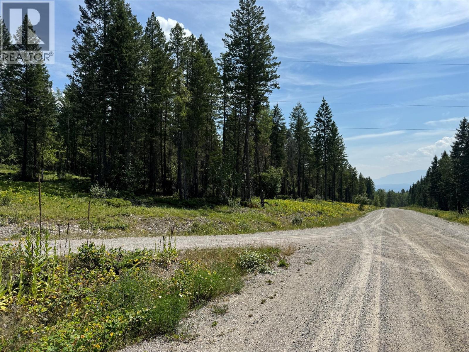 Lot 4 - Kindersley Road, Edgewater, British Columbia  V0A 1E0 - Photo 15 - 10395759