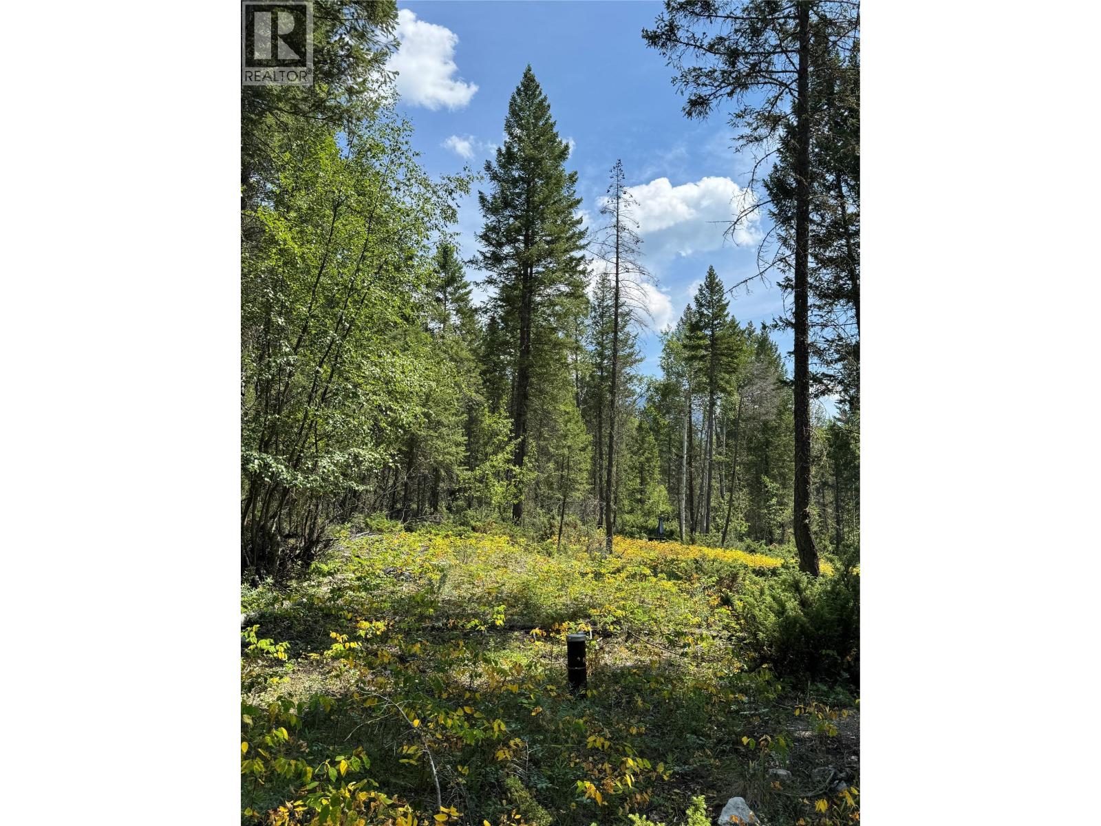 Lot 4 - Kindersley Road, Edgewater, British Columbia  V0A 1E0 - Photo 21 - 10395759