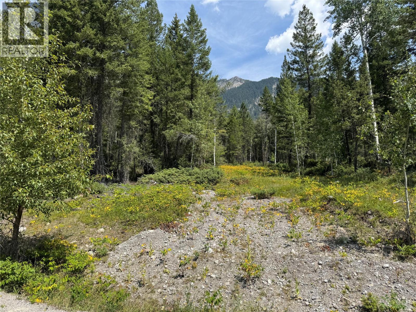 Lot 4 - Kindersley Road, Edgewater, British Columbia  V0A 1E0 - Photo 17 - 10395759