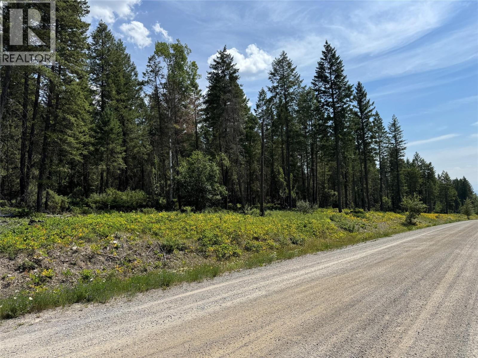 Lot 4 - Kindersley Road, Edgewater, British Columbia  V0A 1E0 - Photo 16 - 10395759