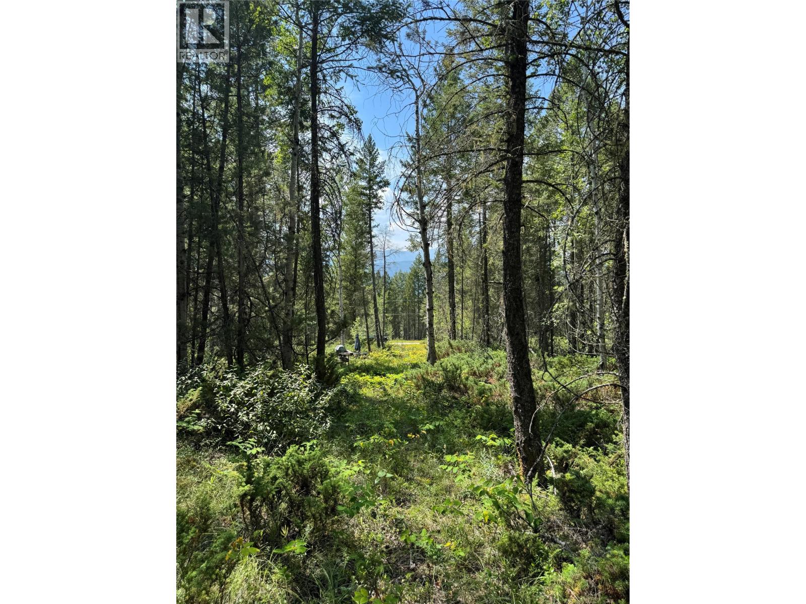 Lot 4 - Kindersley Road, Edgewater, British Columbia  V0A 1E0 - Photo 25 - 10395759