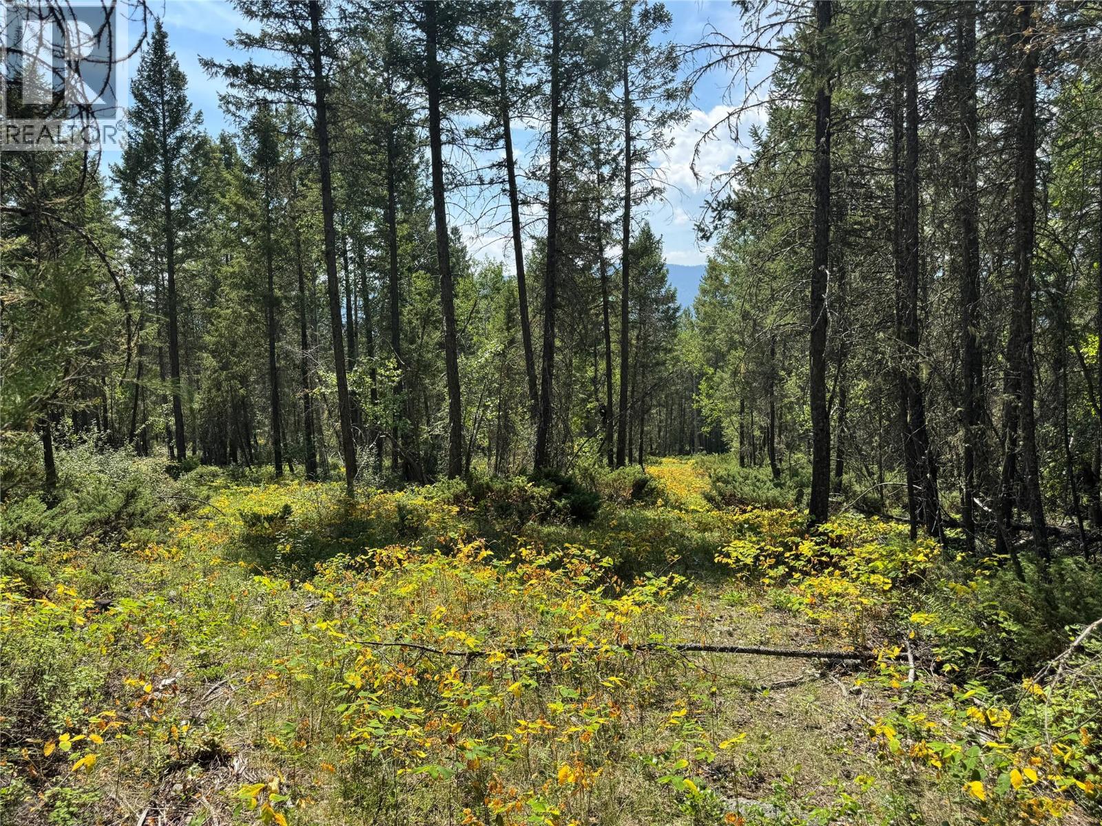 Lot 4 - Kindersley Road, Edgewater, British Columbia  V0A 1E0 - Photo 28 - 10395759