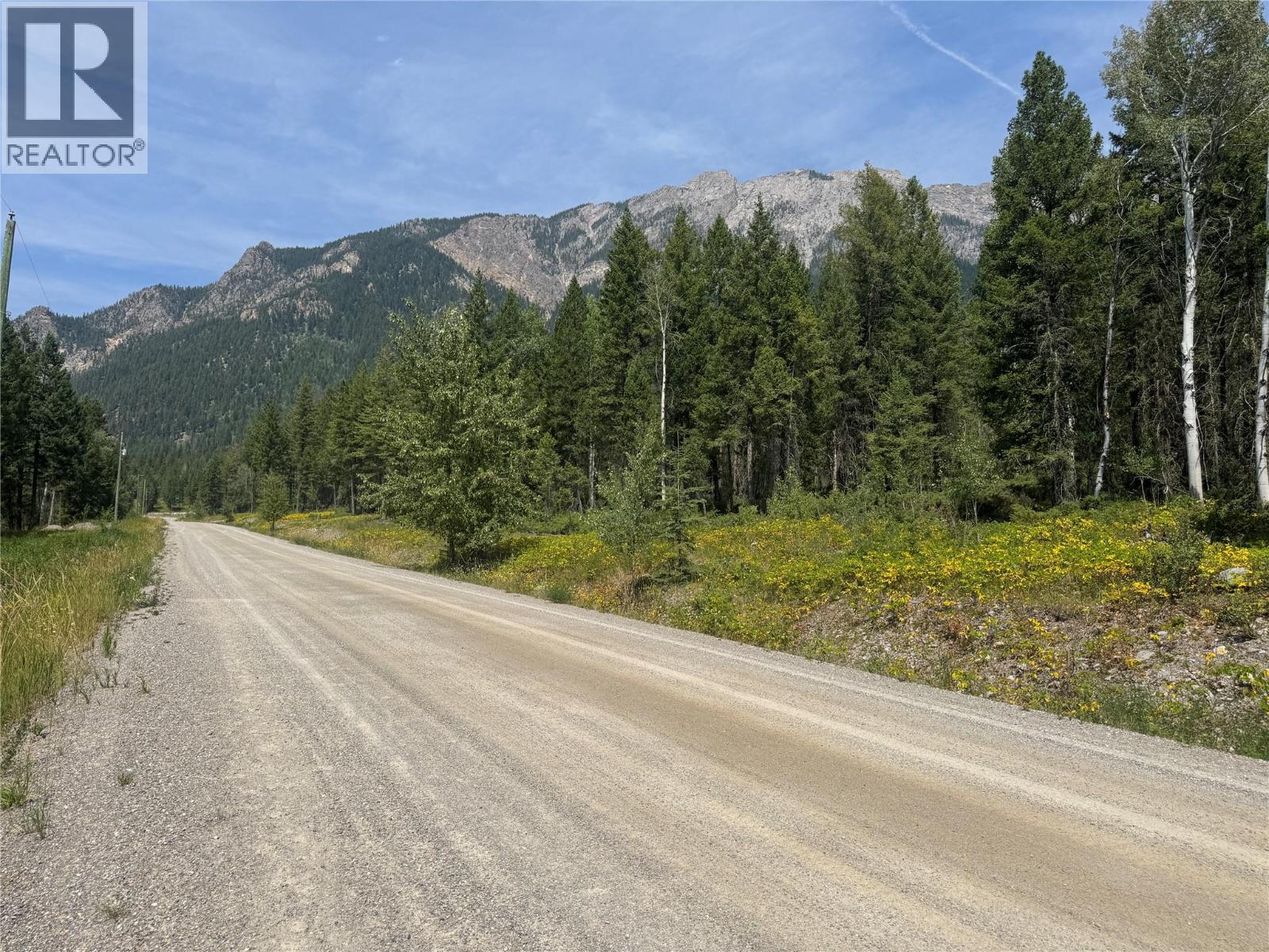 Lot 4 - Kindersley Road, Edgewater, British Columbia  V0A 1E0 - Photo 37 - 10395759