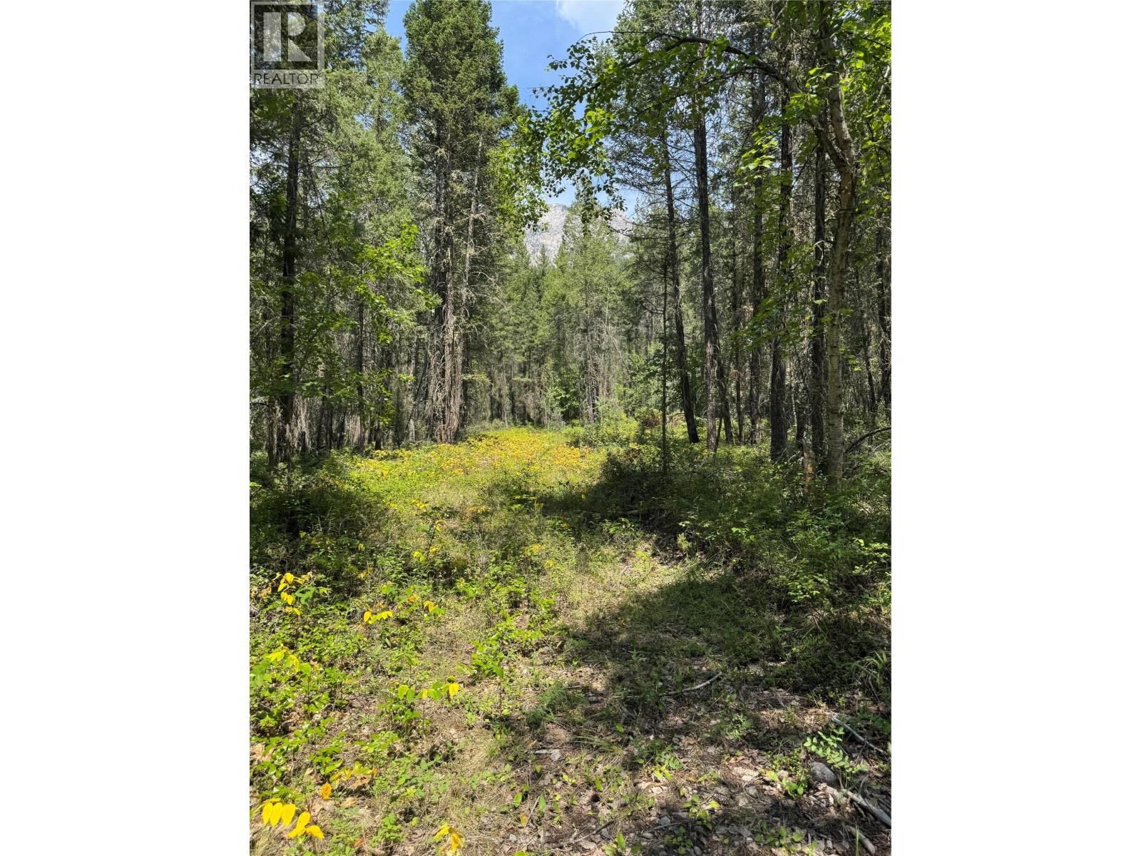 Lot 4 - Kindersley Road, Edgewater, British Columbia  V0A 1E0 - Photo 26 - 10395759