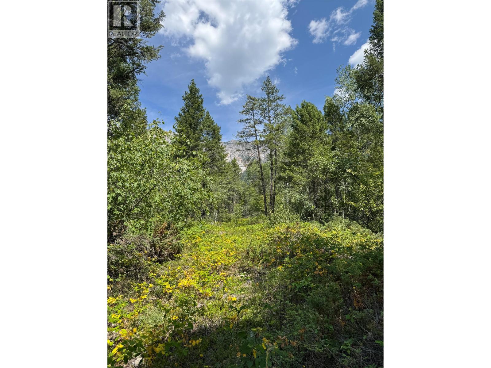 Lot 4 - Kindersley Road, Edgewater, British Columbia  V0A 1E0 - Photo 31 - 10395759