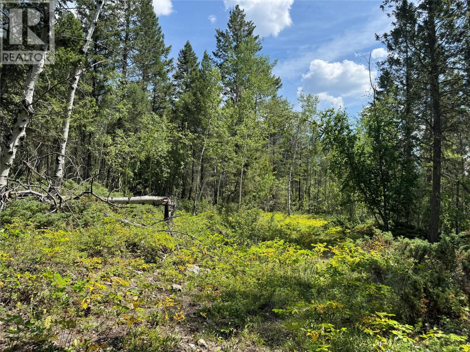 Lot 4 - Kindersley Road, Edgewater, British Columbia  V0A 1E0 - Photo 29 - 10395759