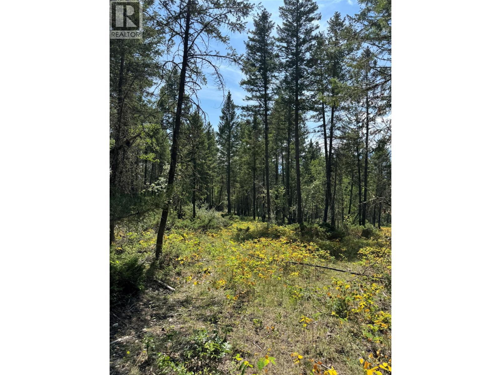Lot 4 - Kindersley Road, Edgewater, British Columbia  V0A 1E0 - Photo 27 - 10395759