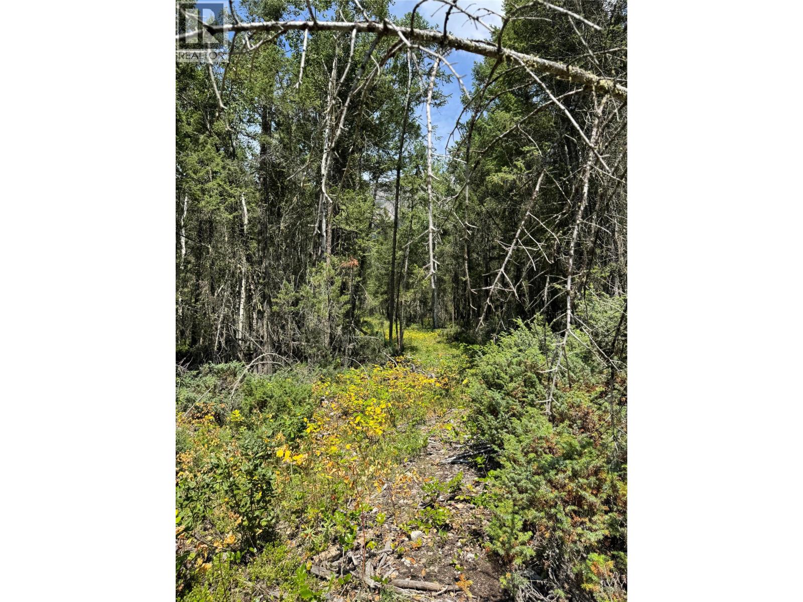 Lot 4 - Kindersley Road, Edgewater, British Columbia  V0A 1E0 - Photo 24 - 10395759