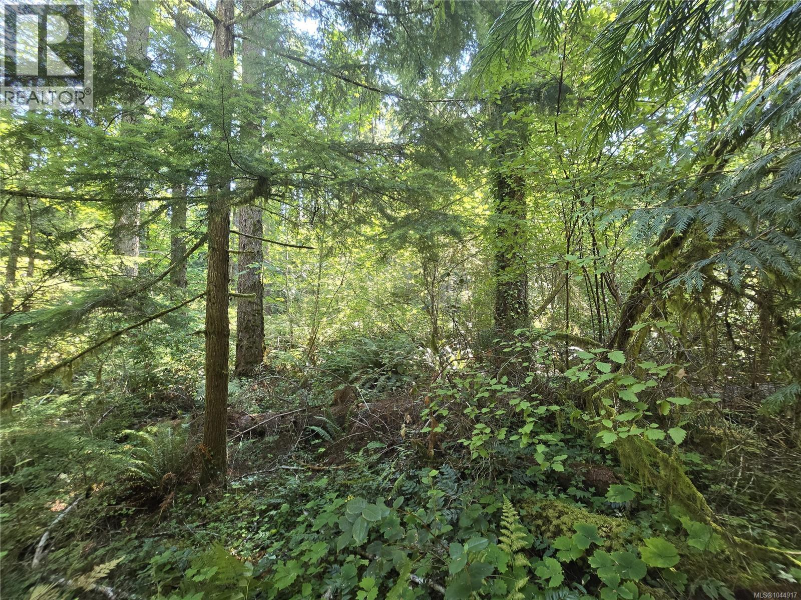 Lt 3 Canal St, Port Alberni, British Columbia  V9Y 4S3 - Photo 3 - 1044917