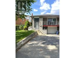 BASEMENT - 117 PINDAR CRESCENT, Toronto, Ontario