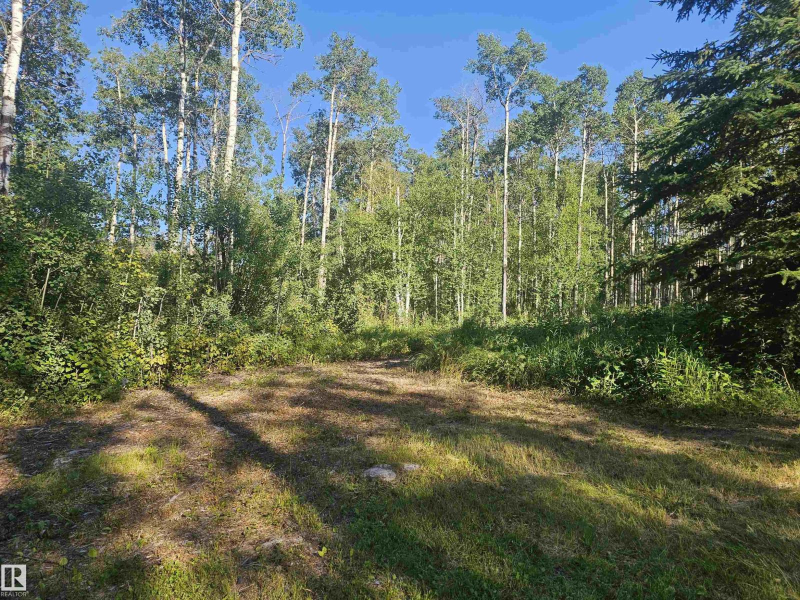 #309 1414 Hwy 37, Rural Lac Ste. Anne County, Alberta  T0E 1V0 - Photo 13 - E4501934