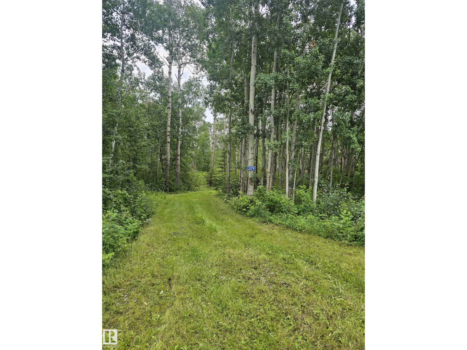 #309 1414 Hwy 37, Rural Lac Ste. Anne County, Alberta  T0E 1V0 - Photo 7 - E4501934