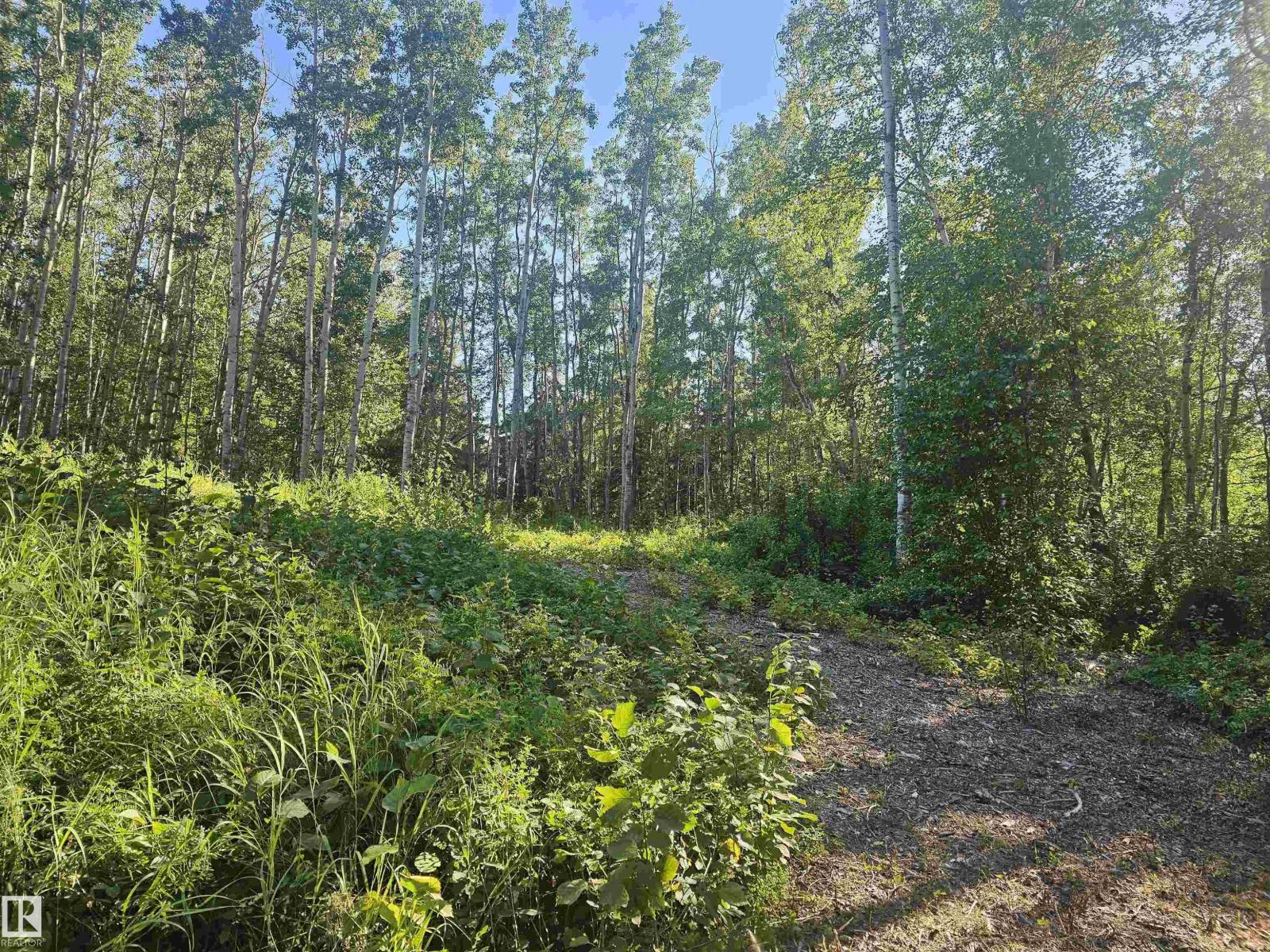 #309 1414 Hwy 37, Rural Lac Ste. Anne County, Alberta  T0E 1V0 - Photo 14 - E4501934