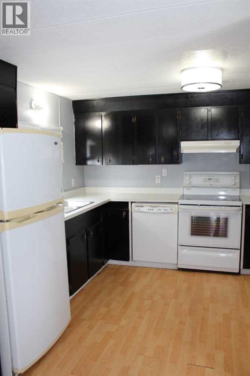 101 7th Avenue SE, Manning, Alberta  T0H 2M0 - Photo 12 - A2306261