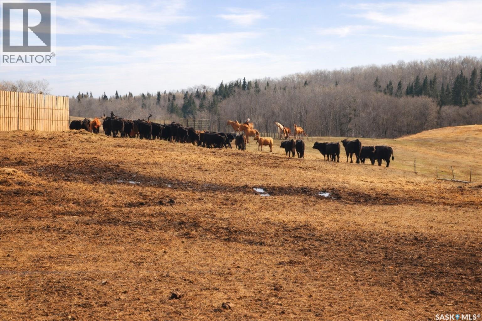 Sturgeon Valley Ranch, Shellbrook Rm No. 493, Saskatchewan  S0J 2E0 - Photo 34 - SK044392