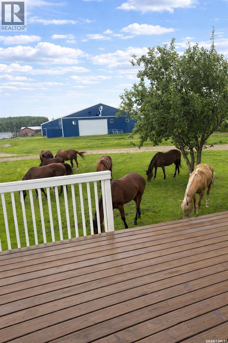 Sturgeon Valley Ranch, Shellbrook Rm No. 493, Saskatchewan  S0J 2E0 - Photo 37 - SK044392