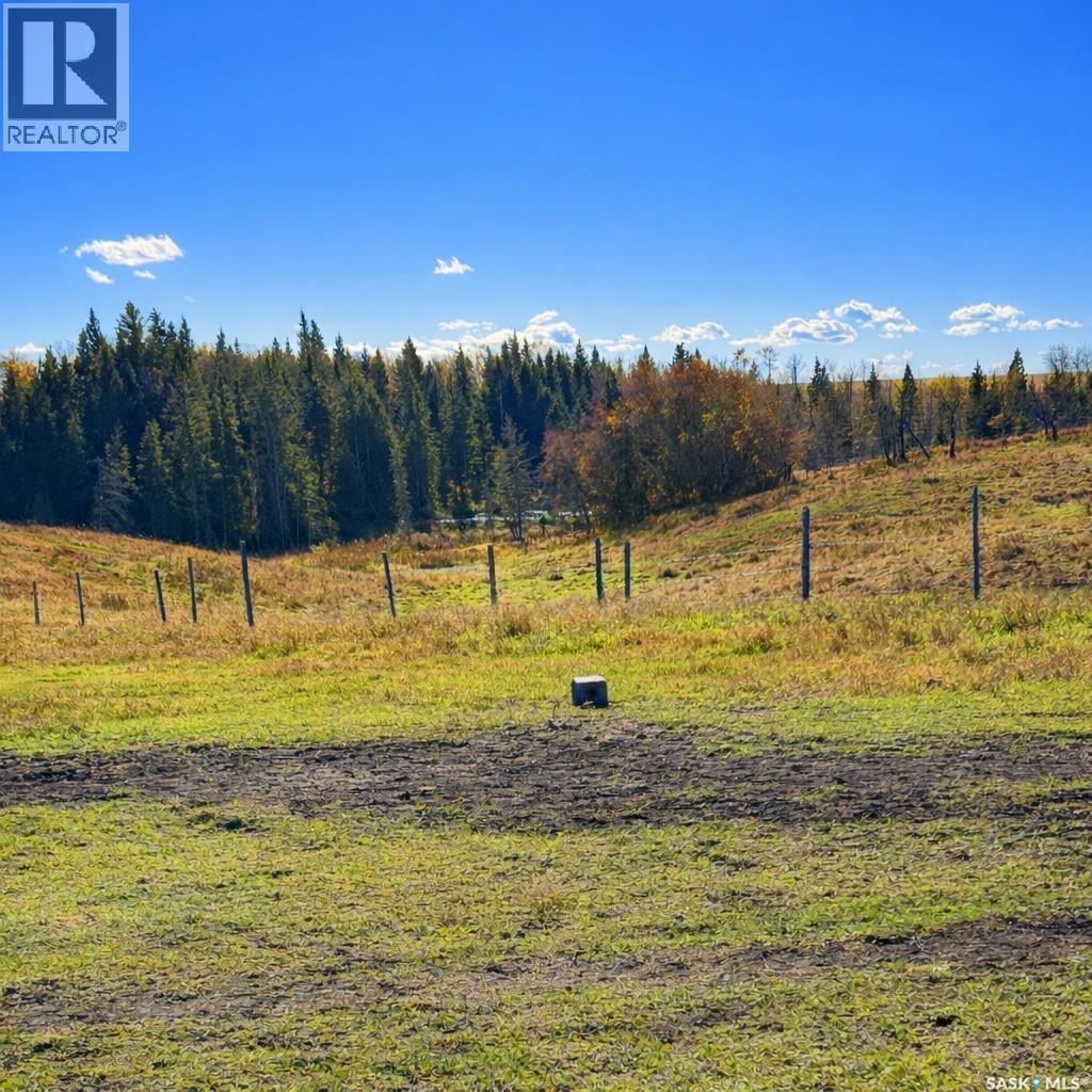 Sturgeon Valley Ranch, Shellbrook Rm No. 493, Saskatchewan  S0J 2E0 - Photo 38 - SK044392