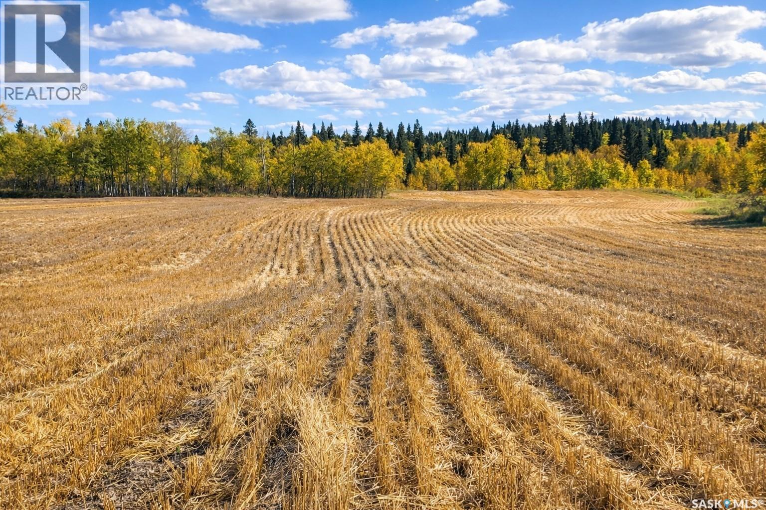 Sturgeon Valley Ranch, Shellbrook Rm No. 493, Saskatchewan  S0J 2E0 - Photo 45 - SK044392