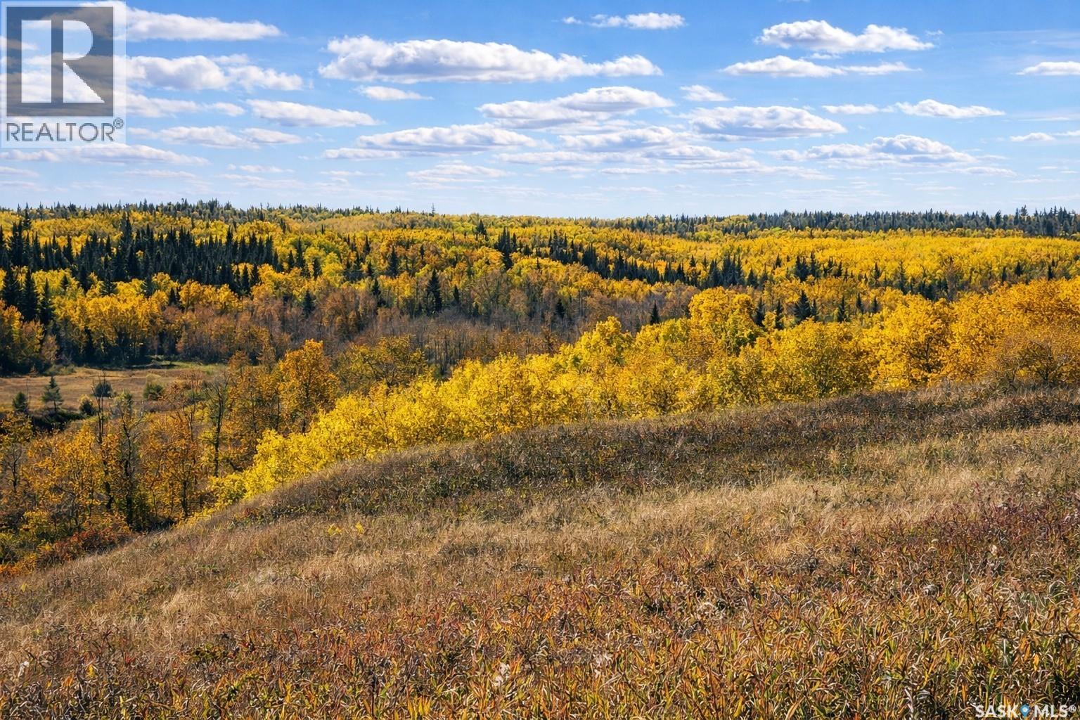 Sturgeon Valley Ranch, Shellbrook Rm No. 493, Saskatchewan  S0J 2E0 - Photo 46 - SK044392