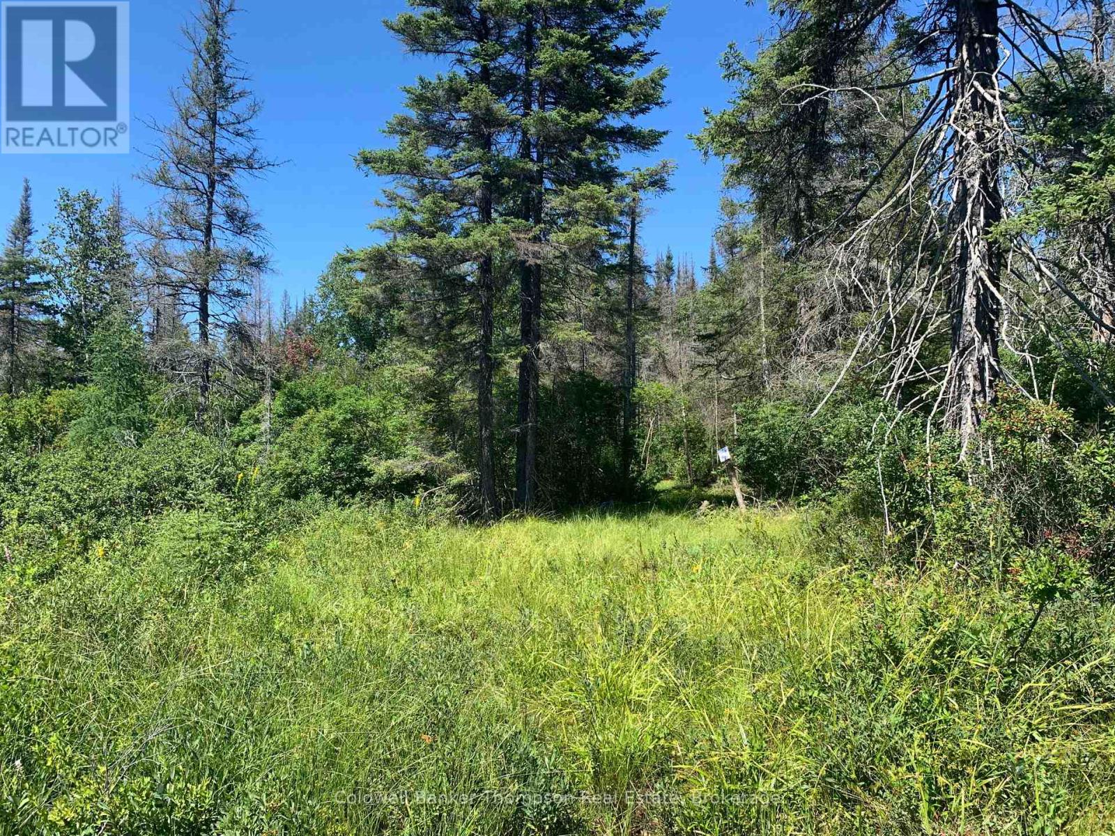 Lot 3 Brennan's Road, Joly, Ontario P0A 1Z0 - Photo 14 - X13632224