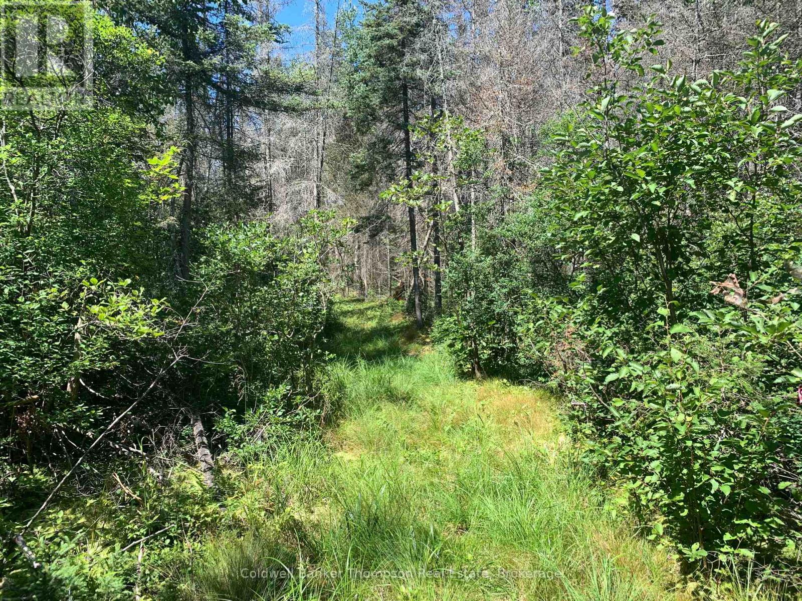 Lot 3 Brennan's Road, Joly, Ontario P0A 1Z0 - Photo 15 - X13632224