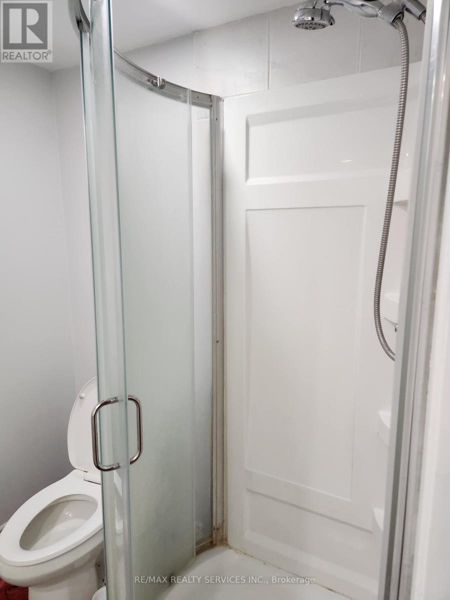 Basement - 71 Helene Crescent, Waterloo, Ontario  N2L 5E6 - Photo 16 - X13632472