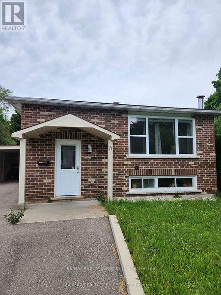 Basement - 71 Helene Crescent, Waterloo, Ontario  N2L 5E6 - Photo 2 - X13632472