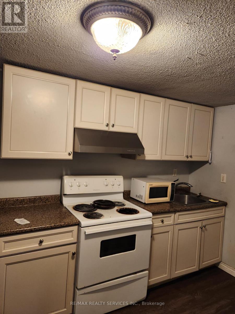 Basement - 71 Helene Crescent, Waterloo, Ontario  N2L 5E6 - Photo 9 - X13632472