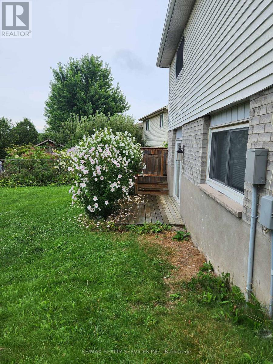 Basement - 464 Thorndale Drive, Waterloo, Ontario  N2T 1W5 - Photo 6 - X13632476