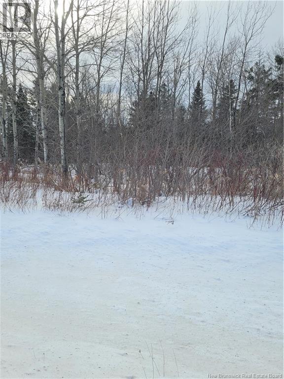 N/a Mckenna Road, Newburg, New Brunswick  E7N 1V7 - Photo 11 - NB132080