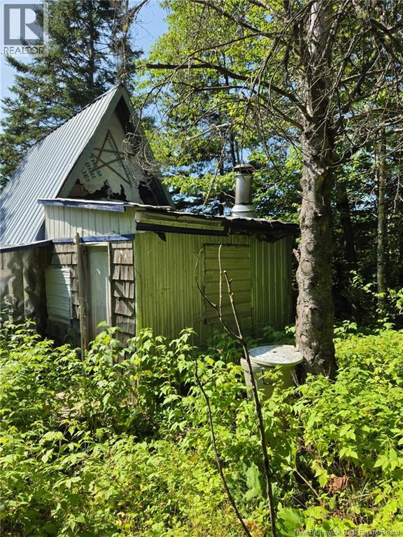 N/a Mckenna Road, Newburg, New Brunswick  E7N 1V7 - Photo 4 - NB132080