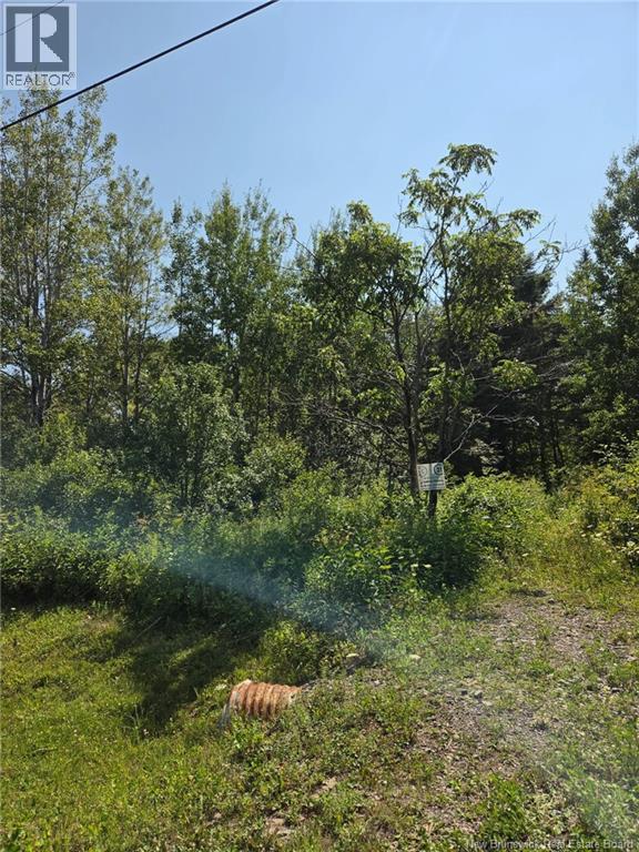 N/a Mckenna Road, Newburg, New Brunswick  E7N 1V7 - Photo 5 - NB132080