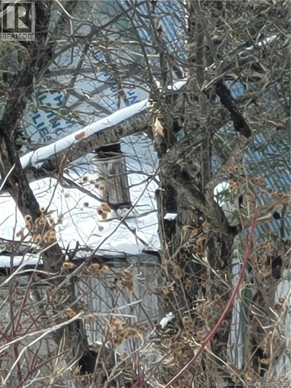N/a Mckenna Road, Newburg, New Brunswick  E7N 1V7 - Photo 8 - NB132080