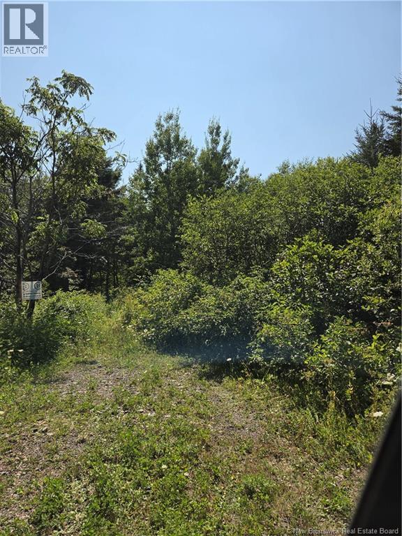 N/a Mckenna Road, Newburg, New Brunswick  E7N 1V7 - Photo 17 - NB132080