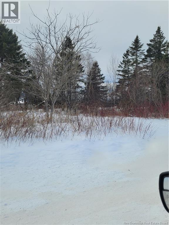 N/a Mckenna Road, Newburg, New Brunswick  E7N 1V7 - Photo 10 - NB132080
