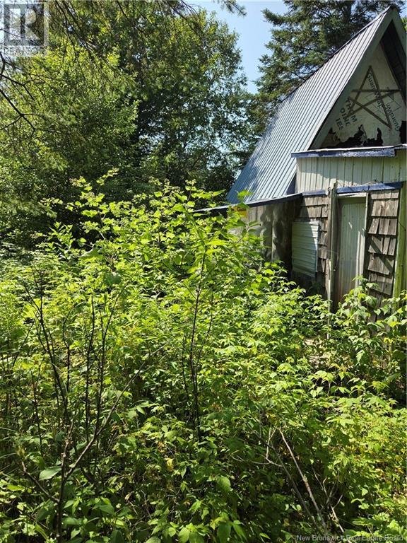 N/a Mckenna Road, Newburg, New Brunswick  E7N 1V7 - Photo 14 - NB132080