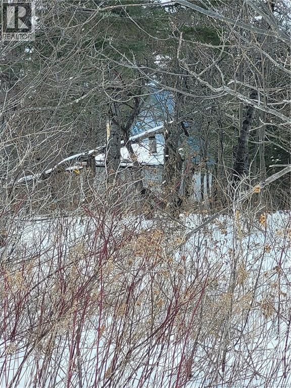 N/a Mckenna Road, Newburg, New Brunswick  E7N 1V7 - Photo 9 - NB132080