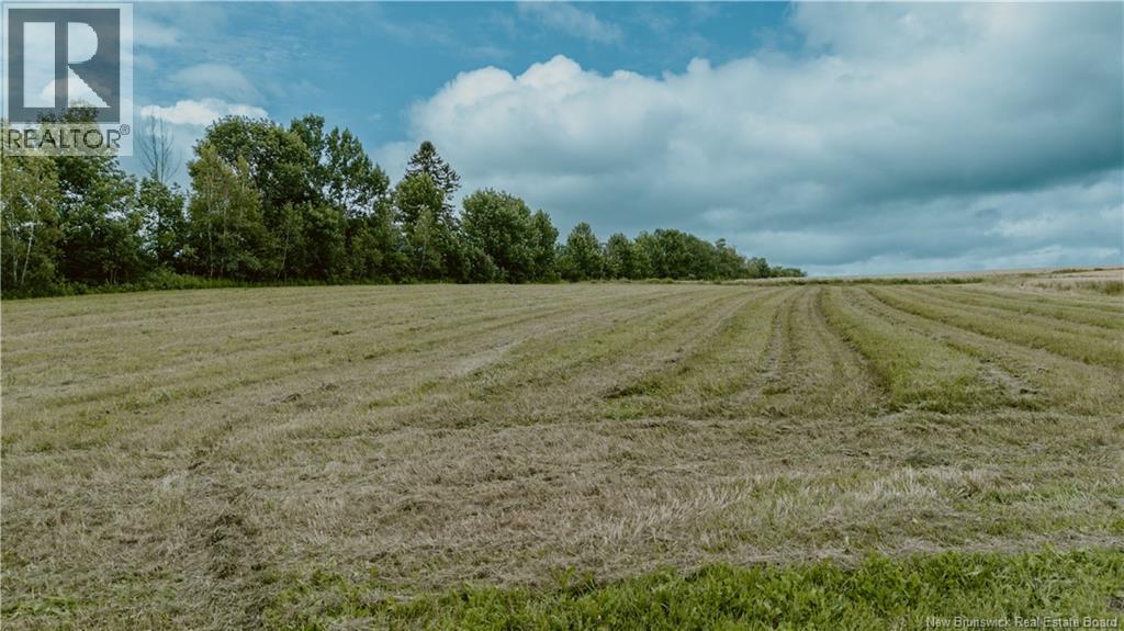 Lot Route 550, Hartford, New Brunswick  E7M 5J5 - Photo 4 - NB145187