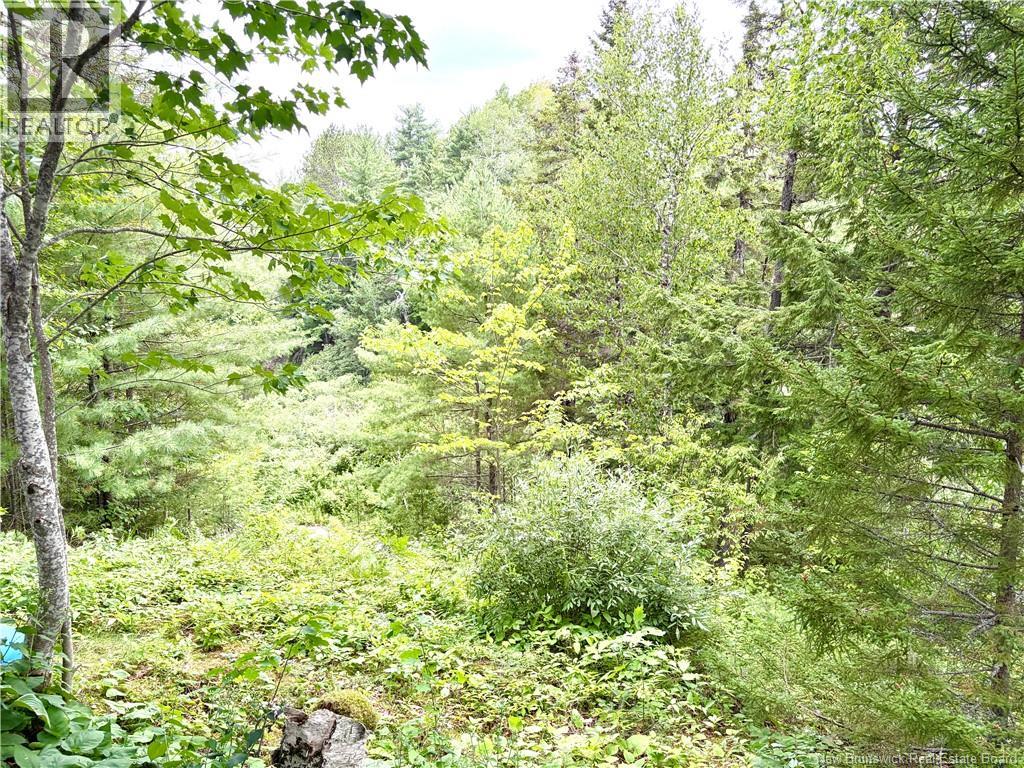 34 Tower Road, Havelock, New Brunswick  E4Z 5T8 - Photo 40 - NB144771